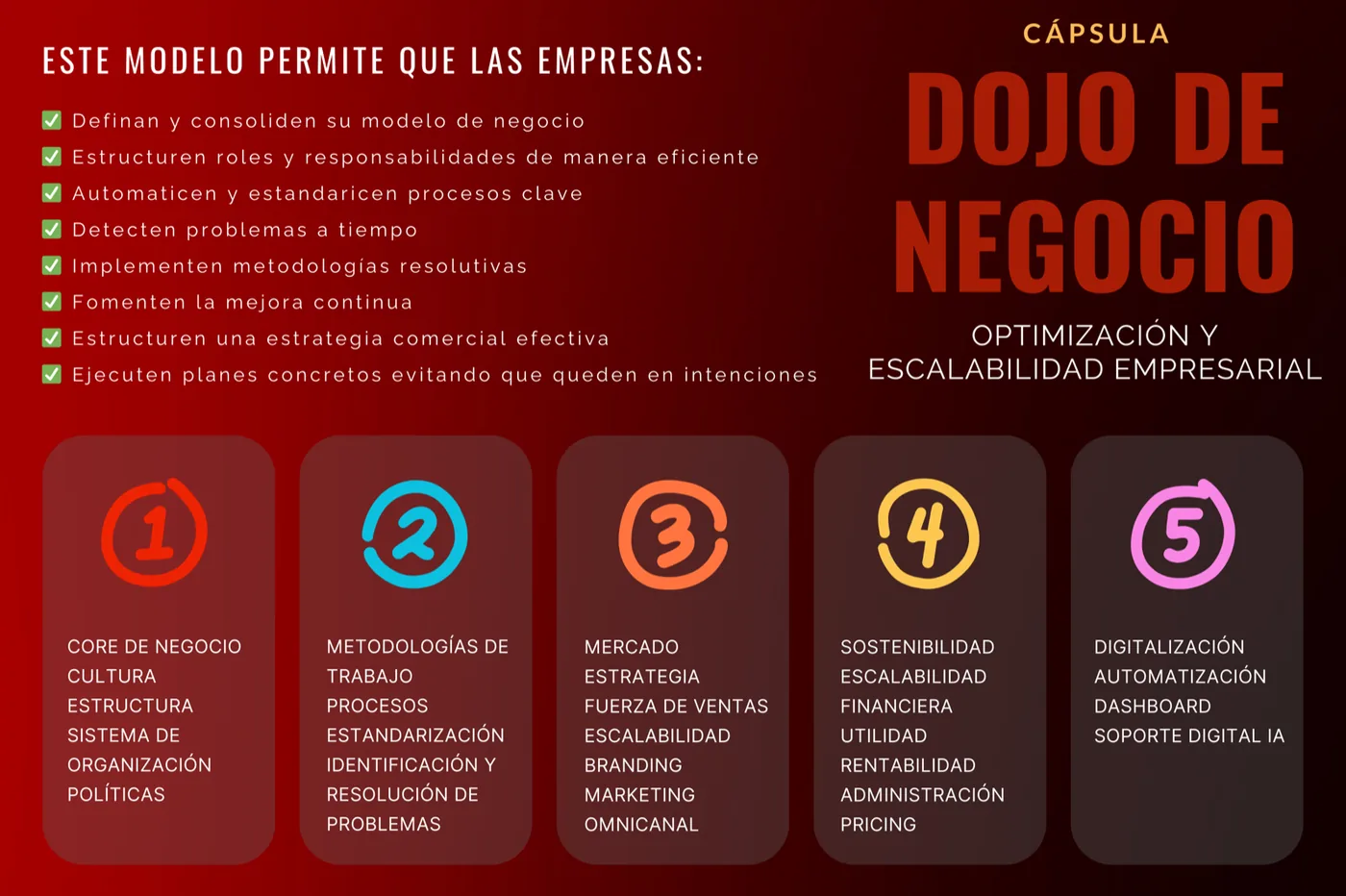 Dojo de Negocio — Cápsula de optimización y escalabilidad empresarial